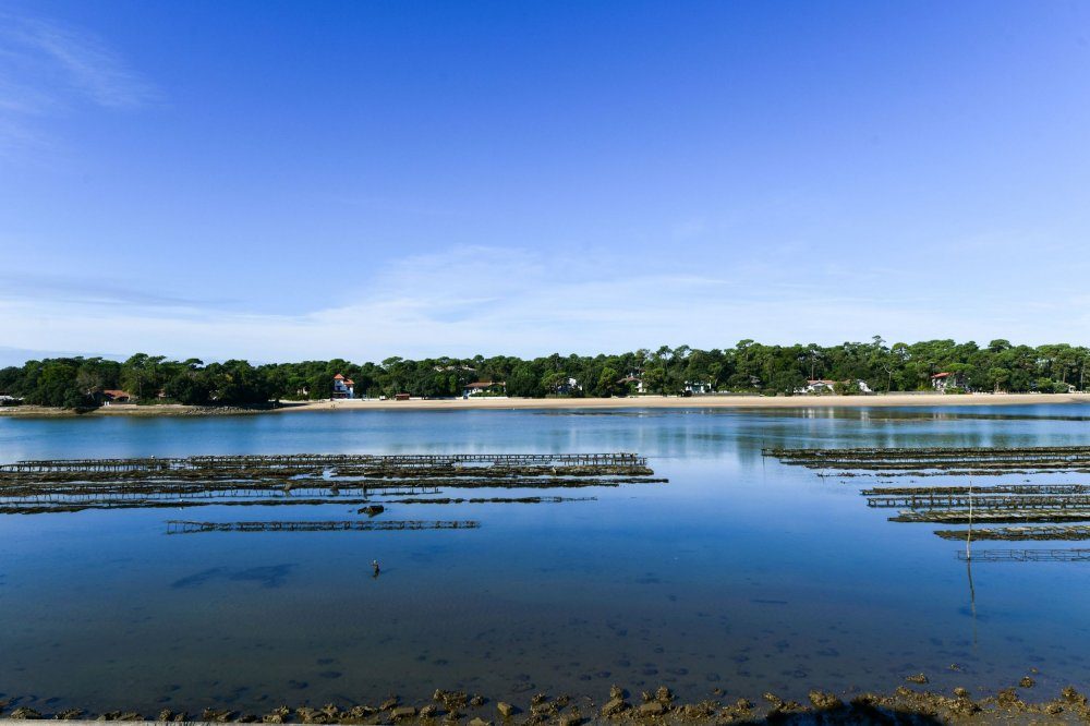 Le lac marin d'Hossegor